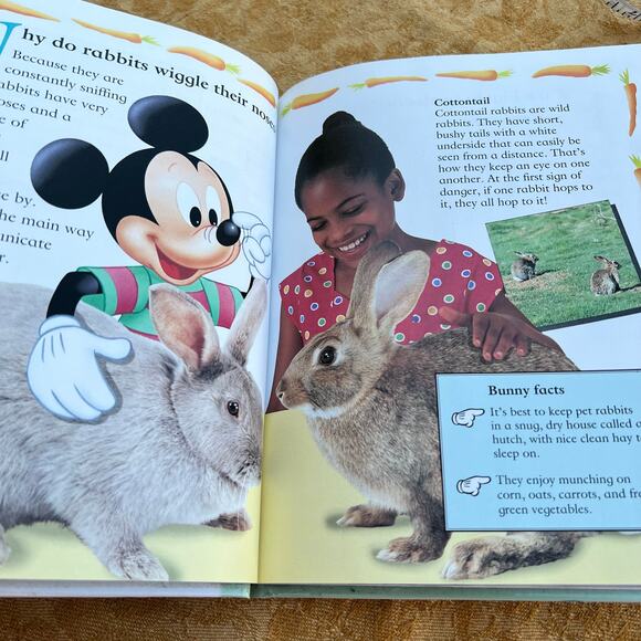 Why Do Puppies Chew Slippers 1992 Disney Company - Picture 5 of 5